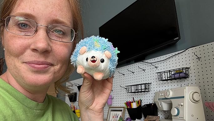 ✨kyoooooko✨ Amazon.com: CICILIAYA Hedgehog Shape Pin Cushion, Cute